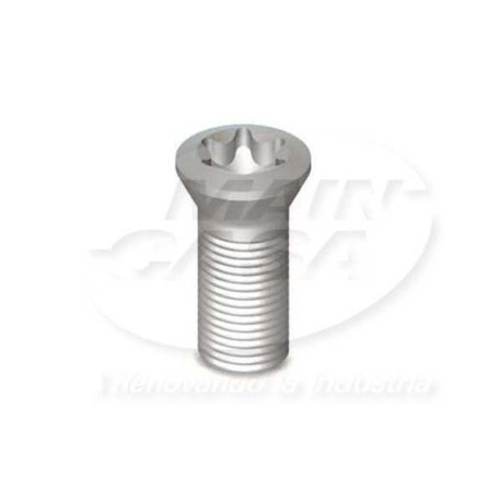 TORNILLO TORX (REFACCION)
